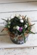 画像5: 寄せ植え お花のチカラ『アネモネ＆ムスカリ』