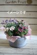画像3: *グリーン缶*【母の日ギフト】お花が大好きなお母様へ !春爛漫を詰め込んで♪ ※５/７〜発送 (3)