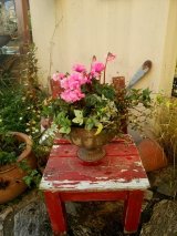 画像: 寄せ植えご予約分 『*Ｎさま分*』