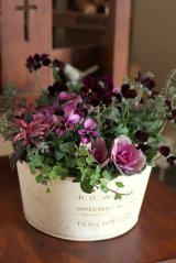 画像: 冬の寄せ植え『パピヨンのお正月』 