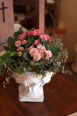 画像: 冬の寄せ植え『ポンポンラパン』 