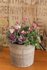 画像: 寄せ植えご予約分