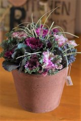 画像: 冬の寄せ植え『ハボタンのブーケ』 