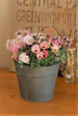 画像: 冬の寄せ植え『ピンクピンクピンク』