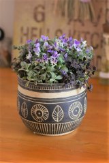 画像: 【ご予約受付中 年内発送します】冬の寄せ植え『アフリカンに碧いうさぎ』