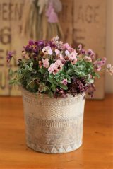 画像: 冬の寄せ植え『アフリカンにコアラとフェネック』