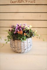 画像: 冬の寄せ植え『バスケットに花束を』 