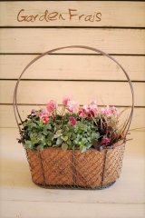 画像: ご予約分　冬の寄せ植え『ピンクのお花畑』 