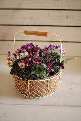 画像: 冬の寄せ植え『mococoでモコモコ』 