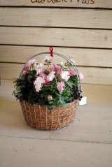 画像: 冬の寄せ植え『柔らかな風が吹くこの場所で』 