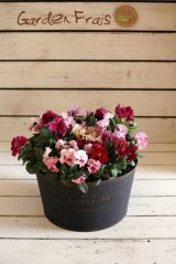 画像: 寄せ植え『お花のチカラ』*ピンク編* 