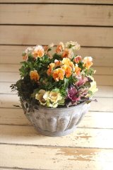 画像: 寄せ植え『トロピカルな年末年始』