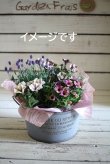 画像3: *ベージュ缶*【母の日ギフト】お花が大好きなお母様へ !春爛漫を詰め込んで♪ ※５/７〜発送