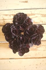 画像: ハボタン光子セッション（３芽立ち）『ver.６』 