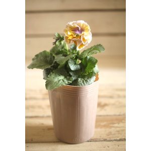 画像: 【1点もの】2025NEW!! МFFさんオリジナル!! フリルパンジーモアナ『レモーナ』 ★ver.7★