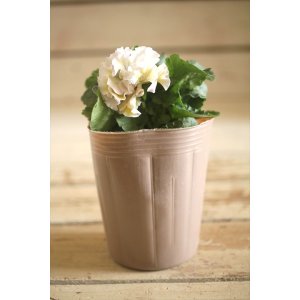 画像: 【1点もの】2025NEW!! МFFさんオリジナル!! フリルパンジーモアナ『レモーナ』 ★ver.8★