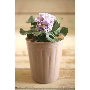 画像: 【1点もの】2025NEW!! МFFさんオリジナル!! フリルパンジーモアナ『レモーナ』 ★ver.2★