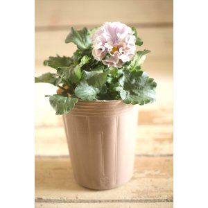 画像: 【1点もの】2025NEW!! МFFさんオリジナル!! フリルパンジーモアナ『レモーナ』 ★ver.4★