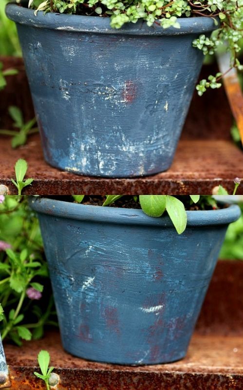 画像: maako'sペイント鉢に寄せ植え 『ペチュニア イエローベージュ』 *ブルー* 
