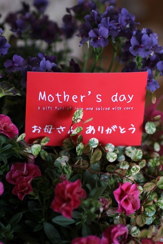 画像: 【母の日ギフト】お花が大好きなお母様へ !春爛漫を詰め込んで♪ ※５/７〜発送
