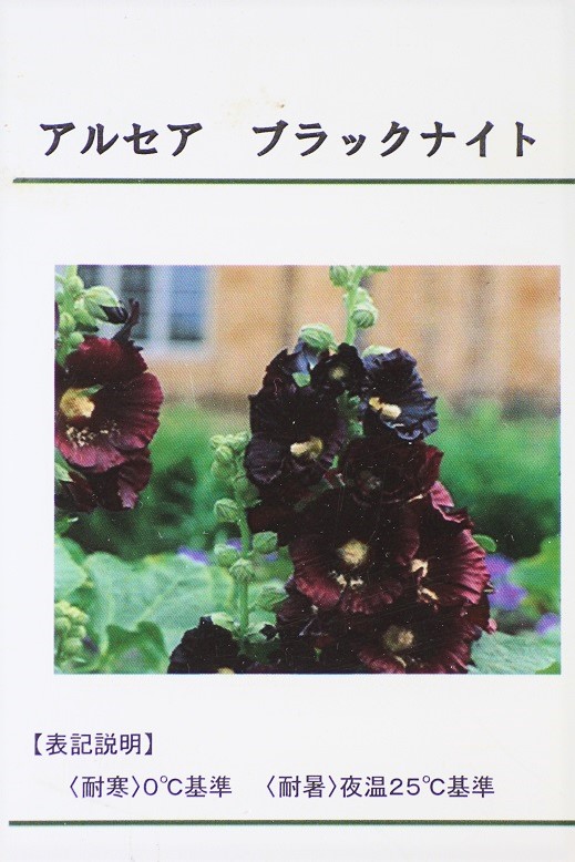 アルセア　アラビアンナイト♥️♥️ ブラック花