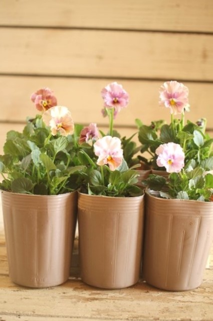 画像2: 2025NEW!!  МFFさんオリジナル!! フリルビオラ ルーシュ『シェルピンク』*ピンク系*